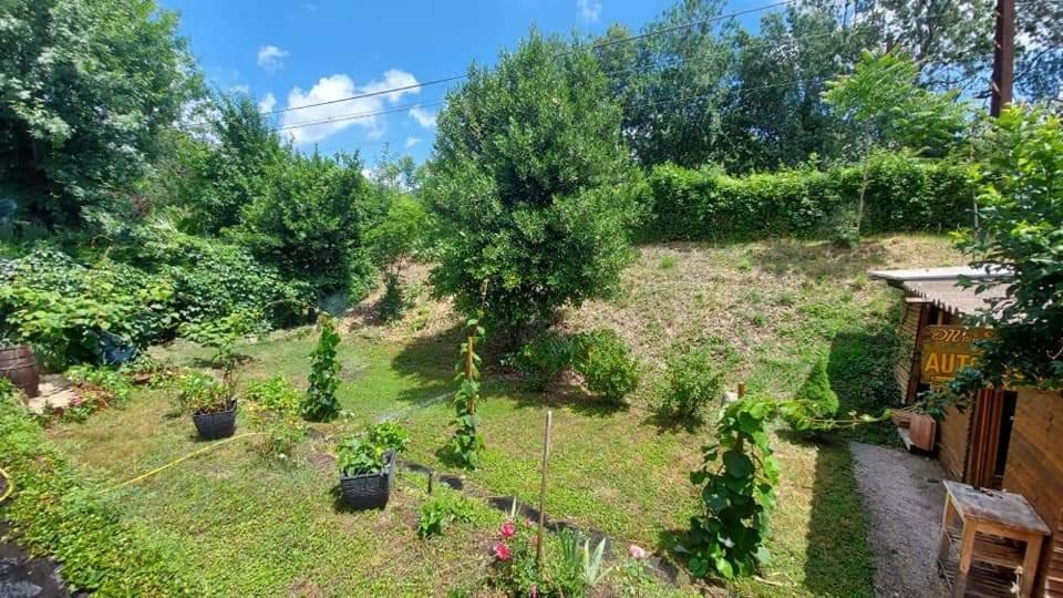 Villa Mimosa Le Bousquet-d'Orb Dış mekan fotoğraf